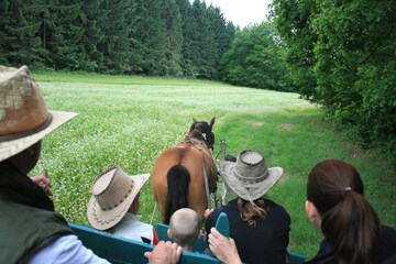 Horseback riding
