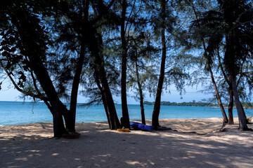 Beach/ocean view