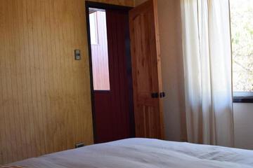 Photo 61