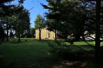 Photo 50