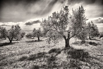 Land view from property