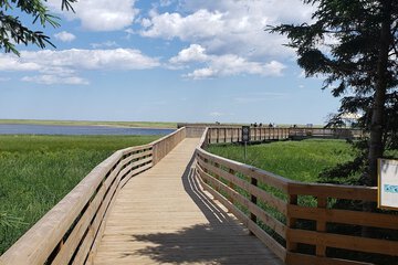 Children's activities