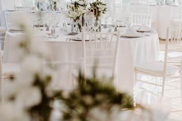 Outdoor wedding area