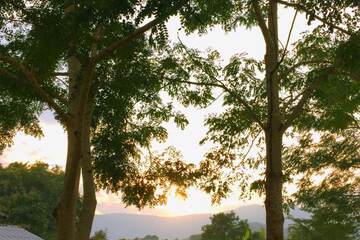 Mountain view
