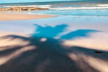 Beach/ocean view