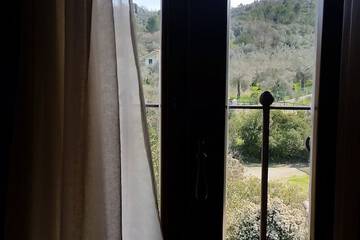 Hill view