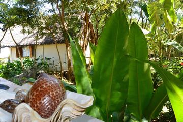 Photo 42