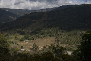 Hiking