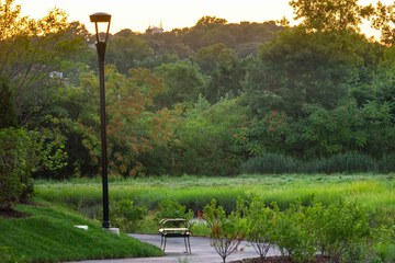 BBQ/picnic area