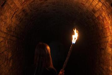 Photo 41