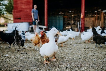 Children's activities