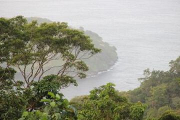 Beach or Ocean View
