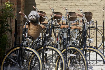 Bicycling