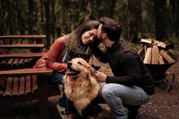 Pet-friendly amenities