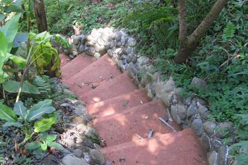 Photo 43