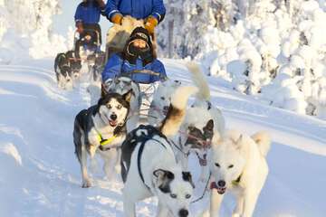 Sledding