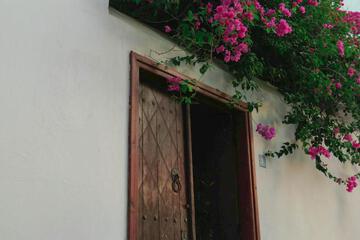 Photo 53