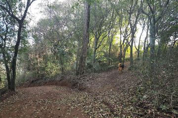 Hiking