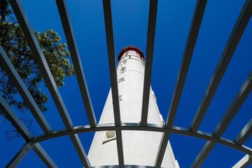 Photo 45