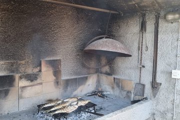 BBQ/picnic area