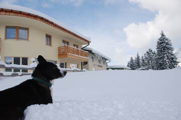 Snowshoeing