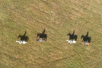 Horseback riding