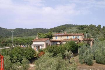 Photo 45