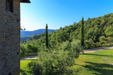 Land view from property