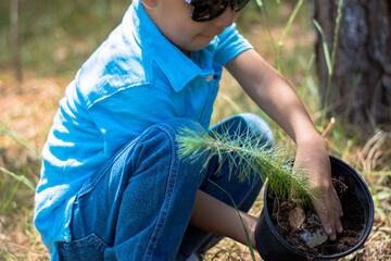 Children's activities