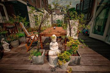 Photo 55
