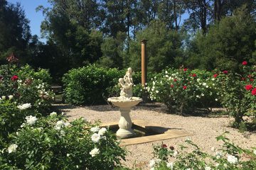 Outdoor wedding area