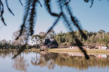 Lake view