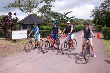 Children's activities