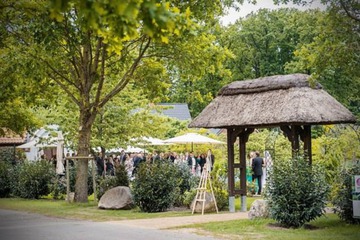 Outdoor wedding area