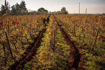 Winery