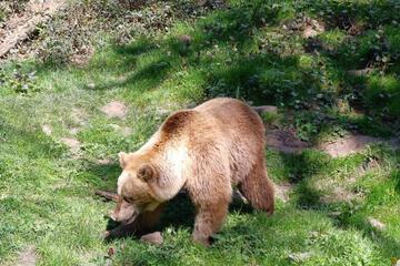 Photo 44