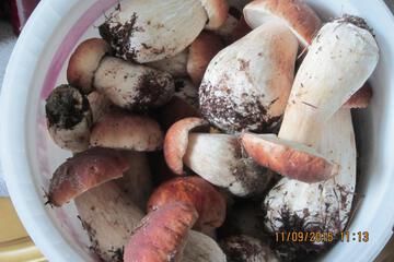Photo 57