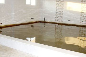 Natural pool