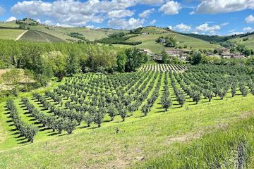 Land view from property