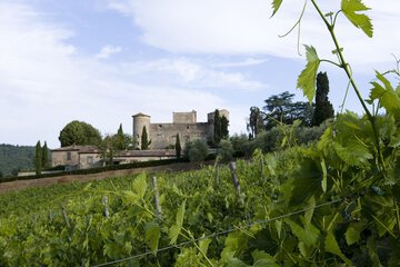 Winery
