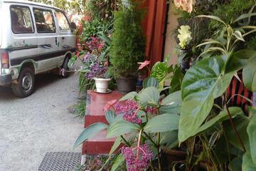 Photo 48