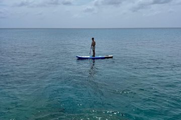 Surfing/boogie boarding
