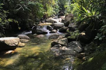Photo 37