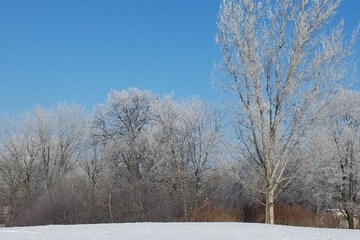 Land view from property