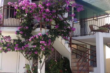 Photo 53