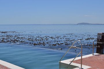 Children's activities