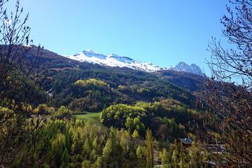 Mountain view