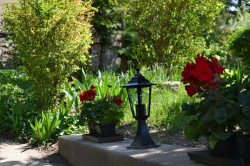 Photo 42
