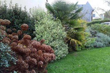 Photo 57