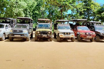 Ecotours